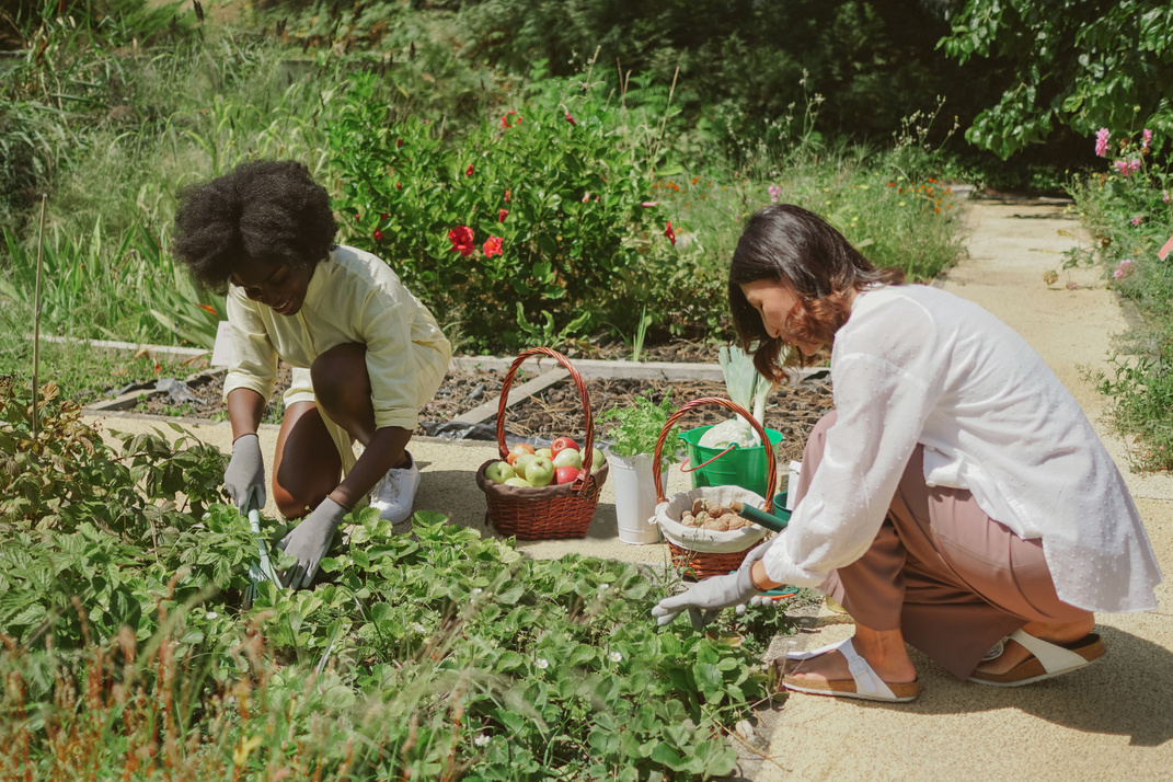 Women in Community Garden